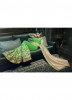 Beige & Green Bemberg Georgette With Satin Embroidery Saree