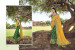 Yellow & Green Banarasi Silk Saree