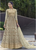 Sage Green Net With Embroidery Work Anarkali Suit