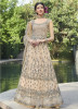 Cream Net With Embroidery Work Anarklai Suit
