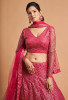Luxurious Hot Pink Net Party wear Thread Embroidery Lehenga Choli
