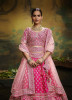 Magenta Silk Embroidery & Hand-Work Wedding-Wear Bridal Lehenga Choli