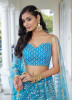 Sky Blue Butterfly Net Embroidered Party-Wear Stylish Lehenga Choli