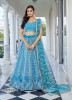 Sky Blue Butterfly Net Embroidered Party-Wear Stylish Lehenga Choli