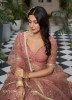 Light Coral Butterfly Net Embroidered Party-Wear Stylish Lehenga Choli